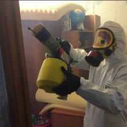 Уничтожение клопов в квартире. Баймак